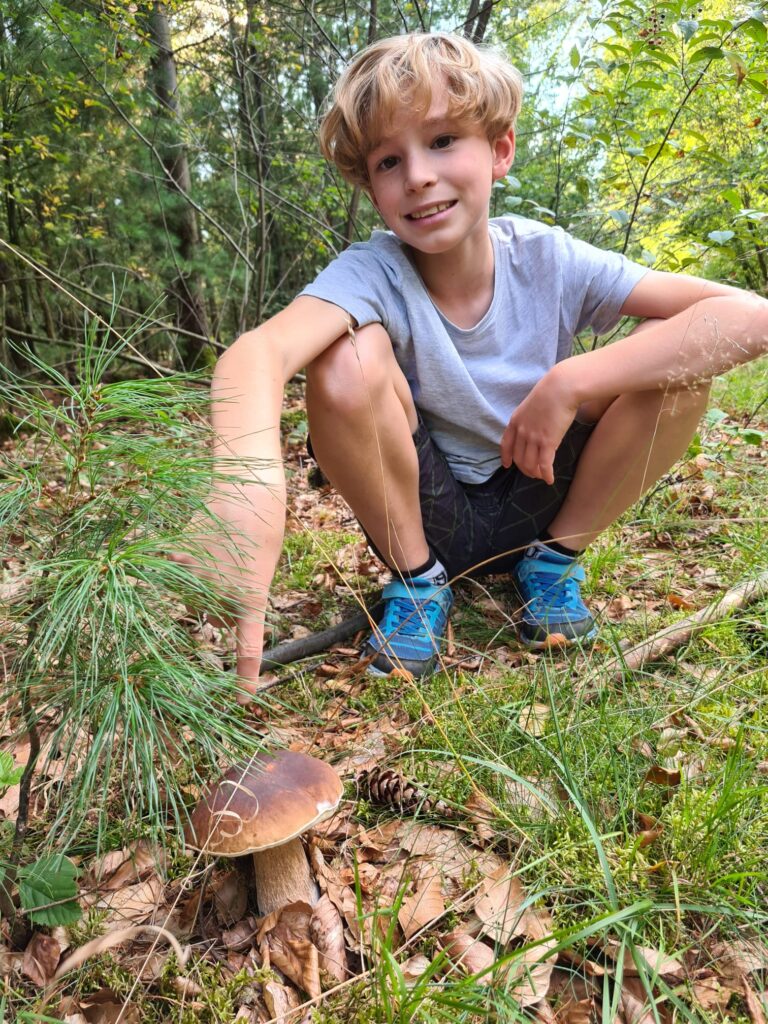 Pilzfund im Kindergarten, Schule oder Pflegeeinrichtung – fachliche Beratung 5 Pilzfund im Kindergarten
