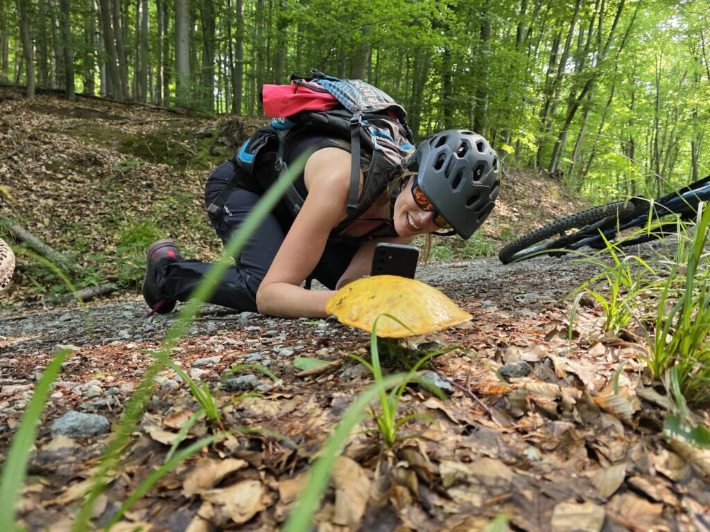 Über mich – Pilzsachverständige (DGfM) im Odenwald & an der Bergstraße 19 Begeisterung in der Natur
