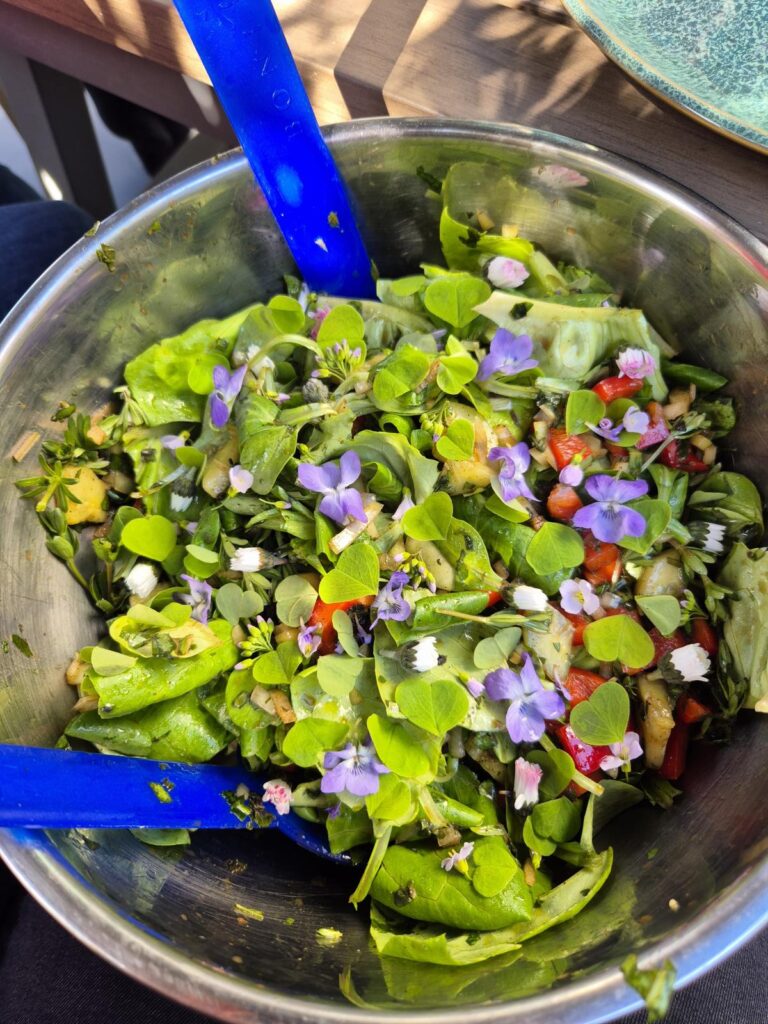 Ostern im Odenwald 7 Salat mit essbaren Wildpflanzen