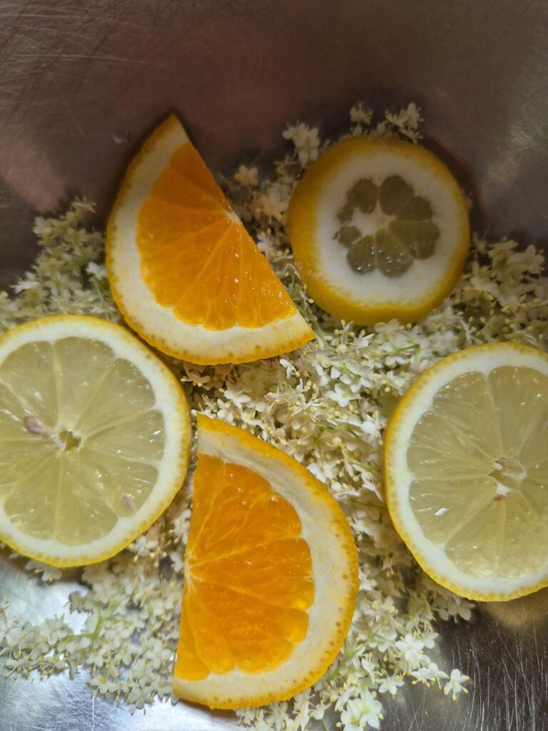 Ostern im Odenwald 8 Holunderblütensirup