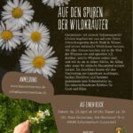Auf den Spuren der Wildkräuter – gemeinsam mit dem Haus Sonnentau 4 Auf den Spuren der Wildkräuter - Flyer