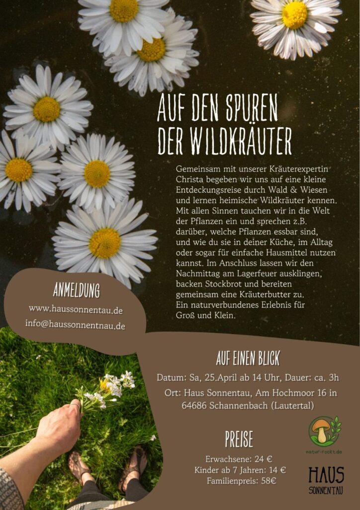 Auf den Spuren der Wildkräuter – gemeinsam mit dem Haus Sonnentau 6 Auf den Spuren der Wildkräuter - Flyer