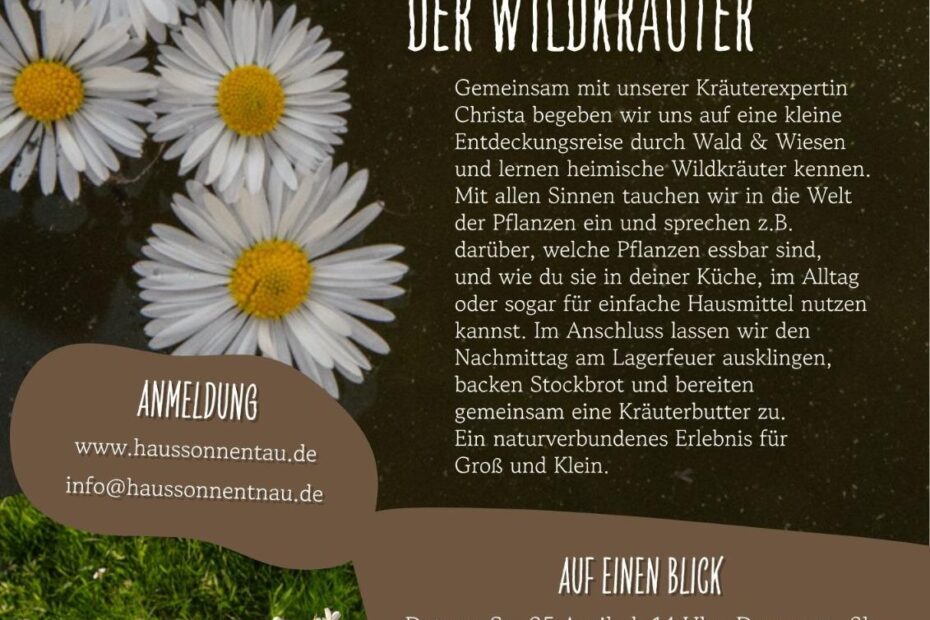 Auf den Spuren der Wildkräuter - Flyer