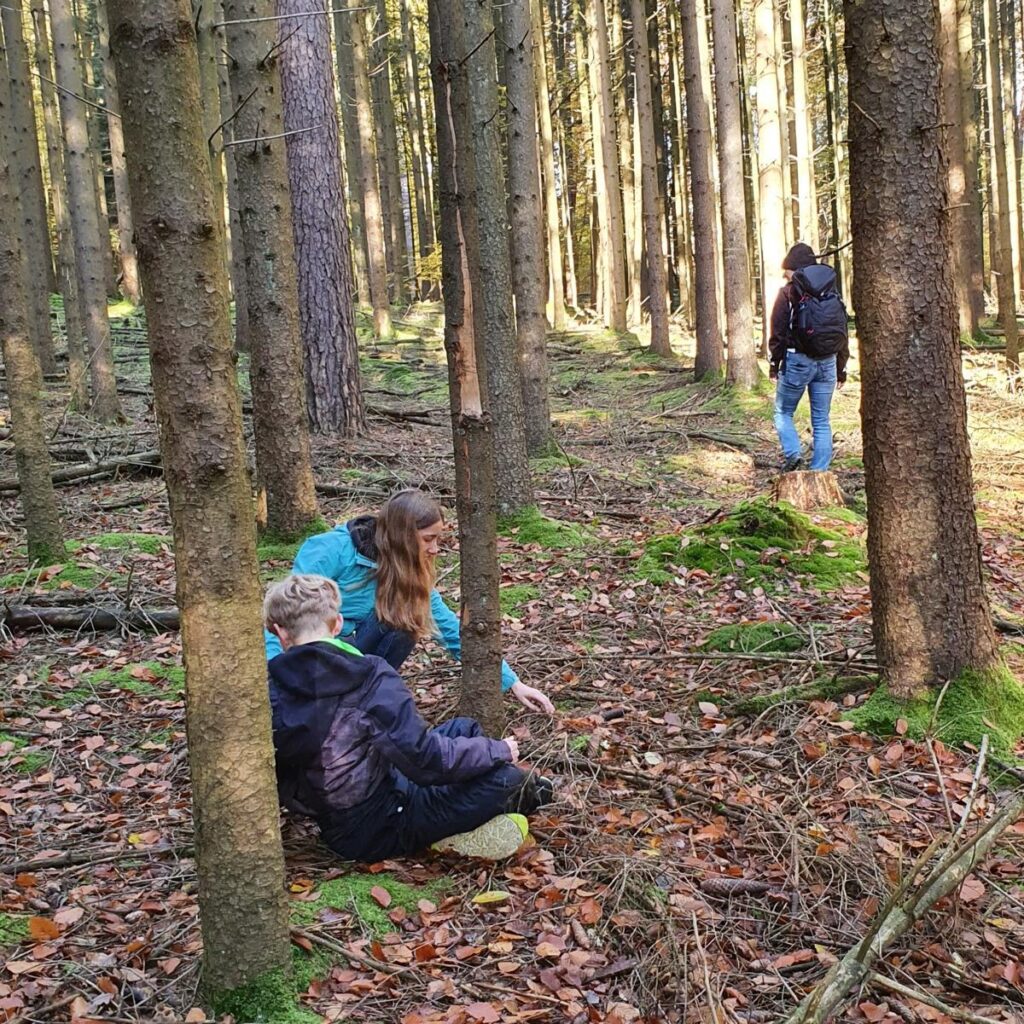 Eichhase – Bestimmung, Verwechslung und Speisewert 16 Familienkurs: Verborgene Wunder